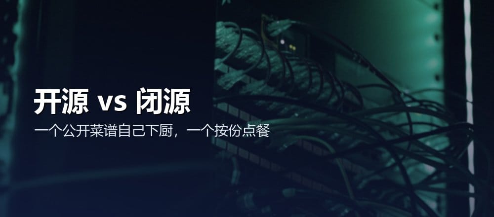 开源模型和闭源模型的区别